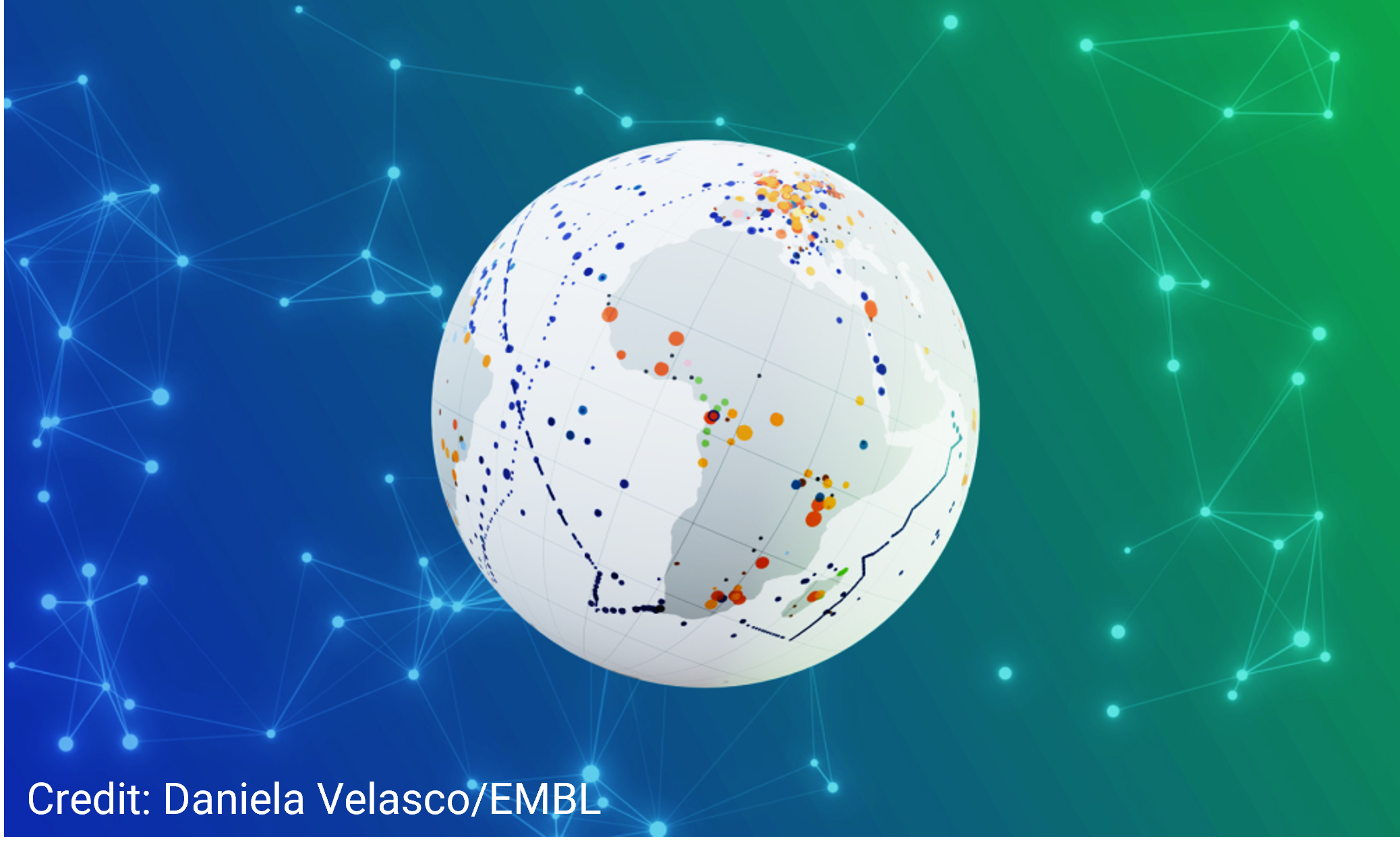 Cell publication visual