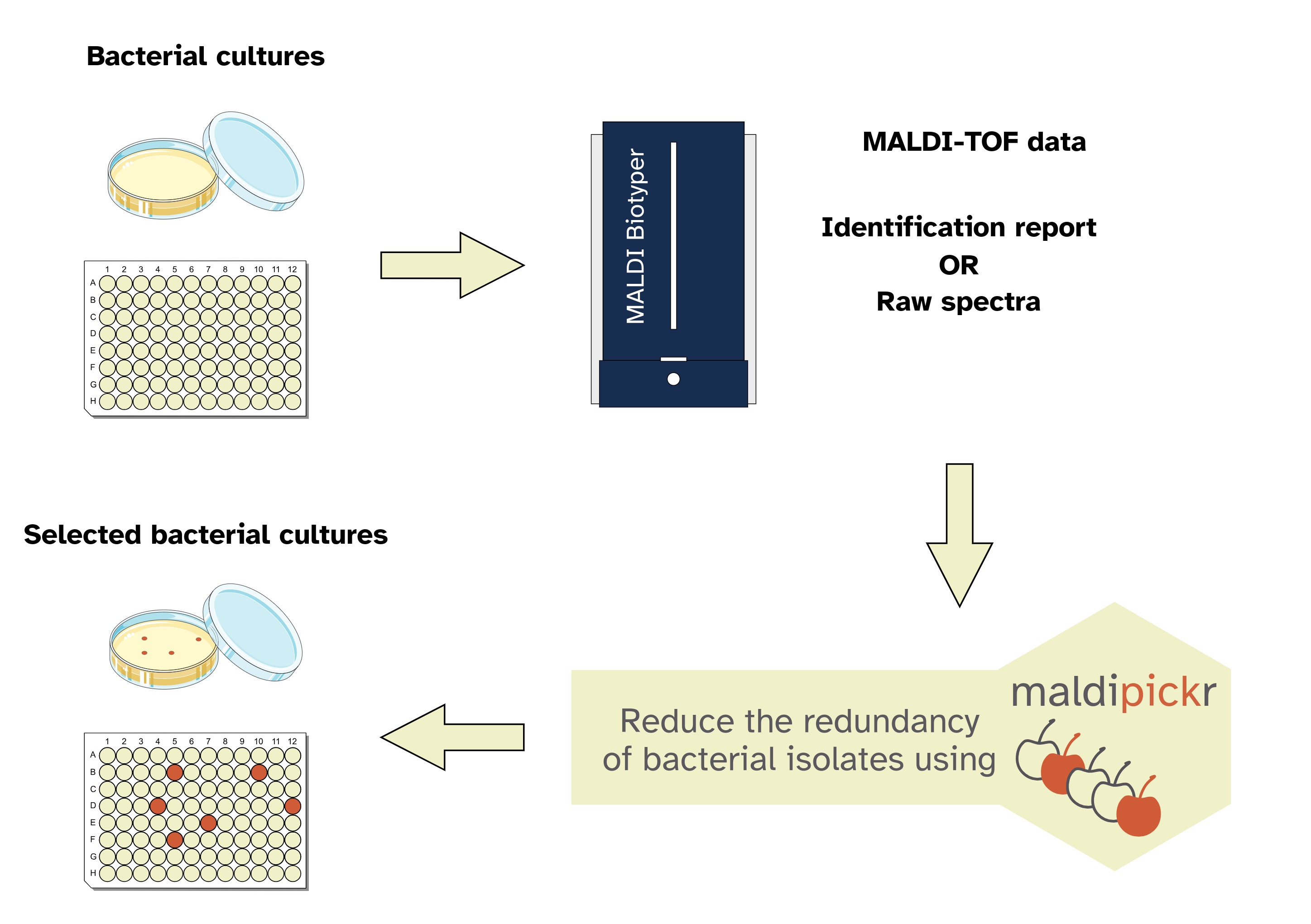 maldipickr dereplicates microbial MALDI-TOF spectra to facilitate multiplexed isolation